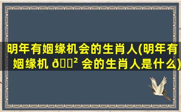 明年有姻缘机会的生肖人(明年有姻缘机 🌲 会的生肖人是什么)